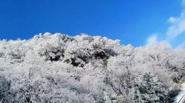 妙鸭相机app下载官网